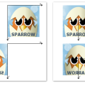 sparrow_mirror.png