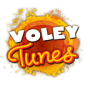 games:voley144.png